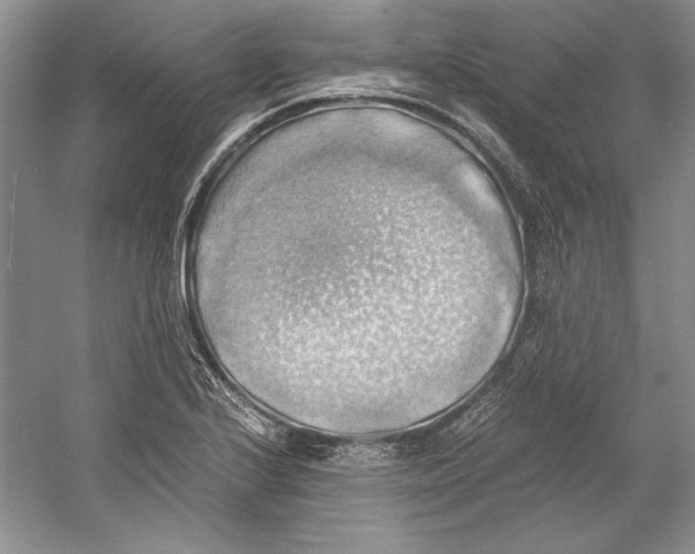 X0000059781224200511181412