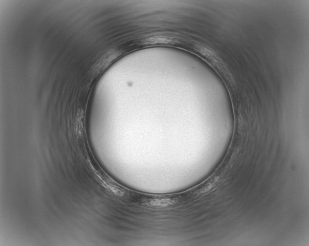 X0000059781233200511181413