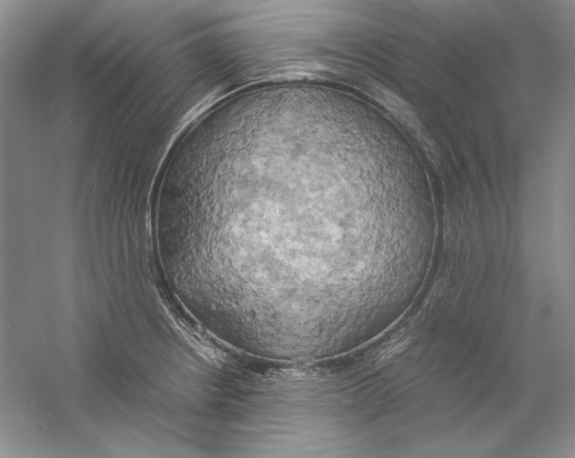 X0000059781234200511181413