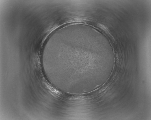 X0000059781260200511181412