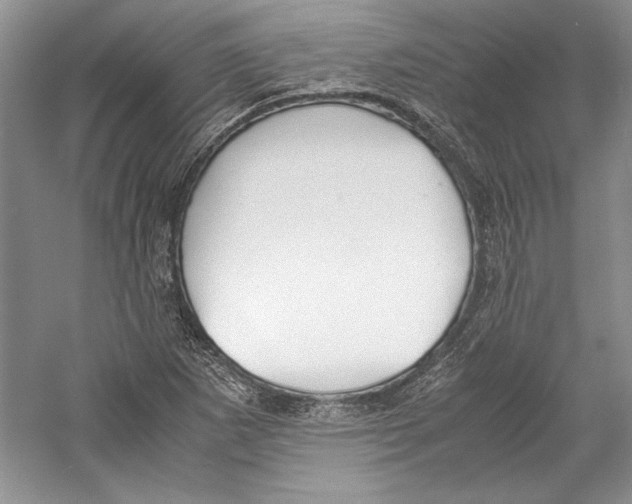 X0000059781265200511181412