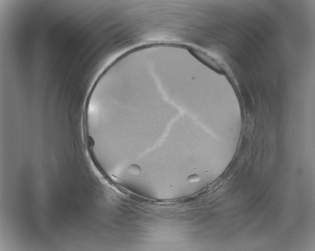 X0000059781295200511181411