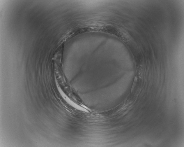 X0000059781298200511181410