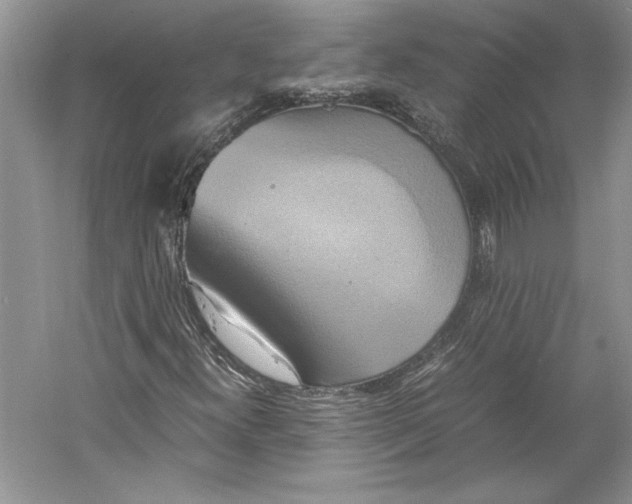 X0000059781300200511181410