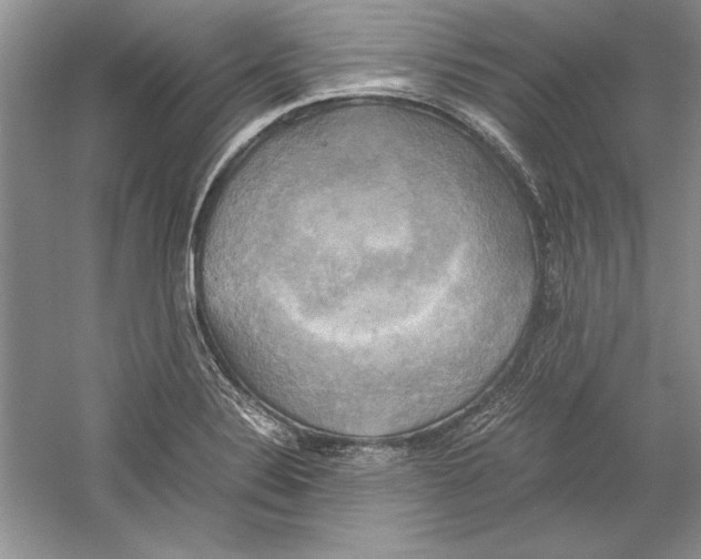 X0000059781324200511181411