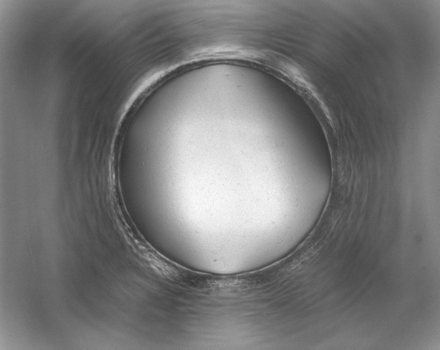 X0000059781328200511181411
