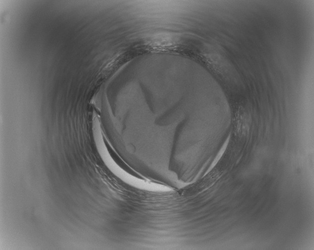 X0000059781346200511181410