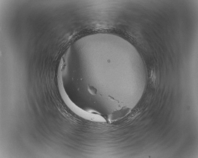 X0000059781348200511181410