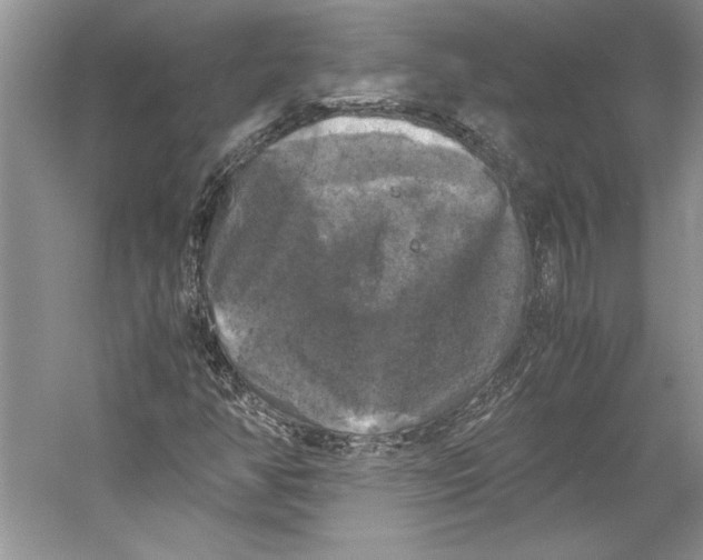 X0000059781350200511181410