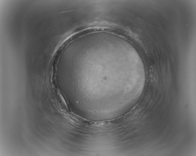 X0000059781352200511181410