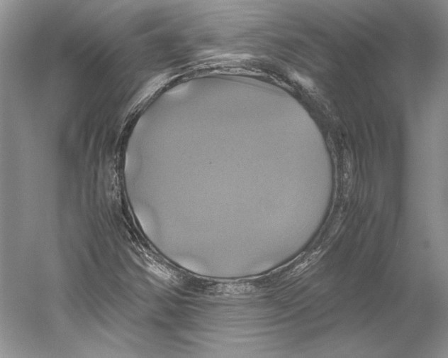 X0000059781354200511181410