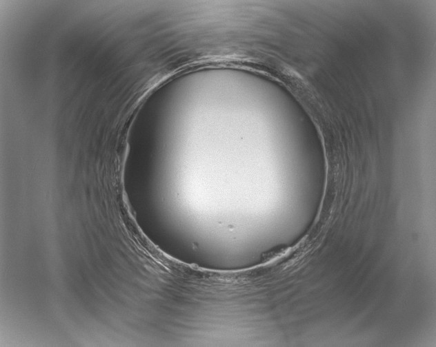 X0000059781361200511181410