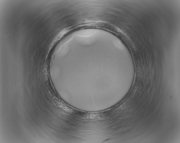 X0000059781362200511181410