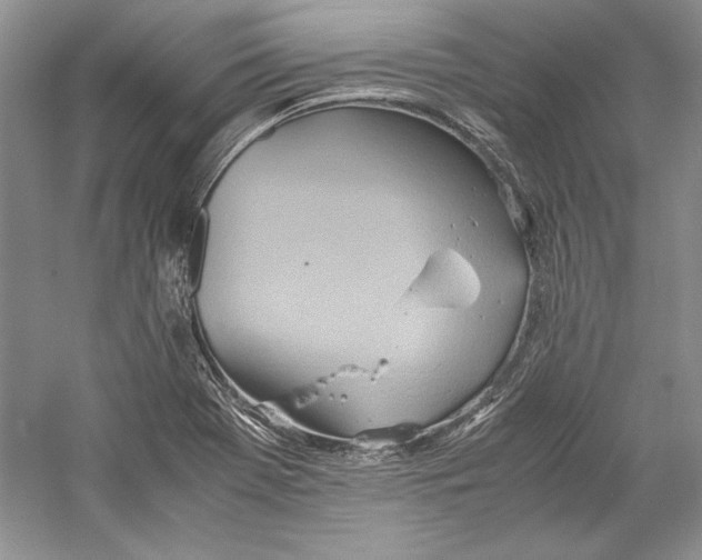 X0000059781369200511181410