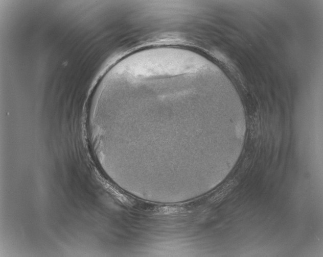 X0000059781374200511181410