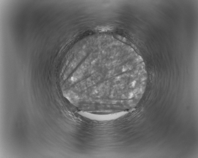 X0000059781393200511181409