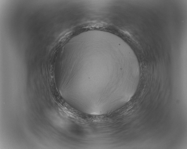 X0000059781399200511181409