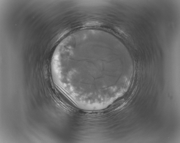 X0000059781401200511181409