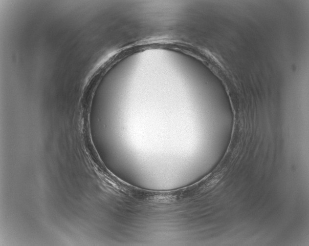 X0000059781406200511181409