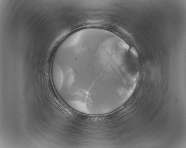 X0000059781411200511181409