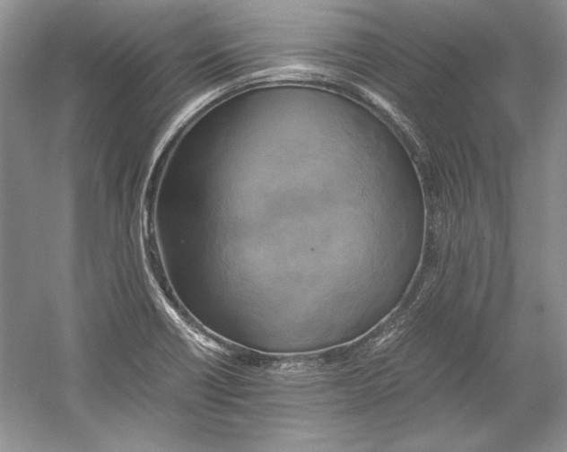 X0000059781418200511181409