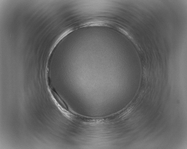 X0000059781426200511181409