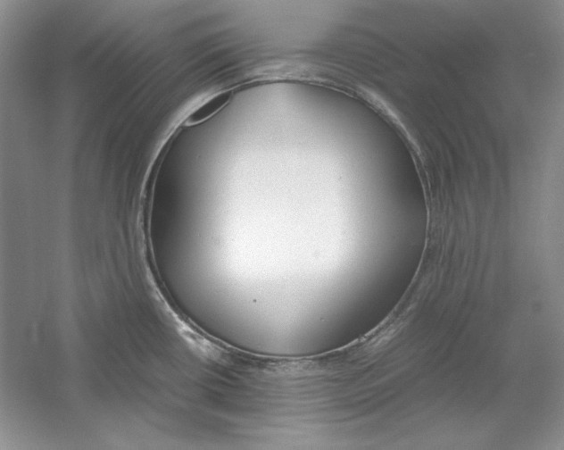 X0000059781434200511181409