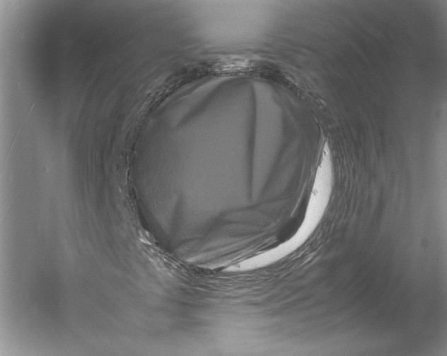 X0000059781441200511181409