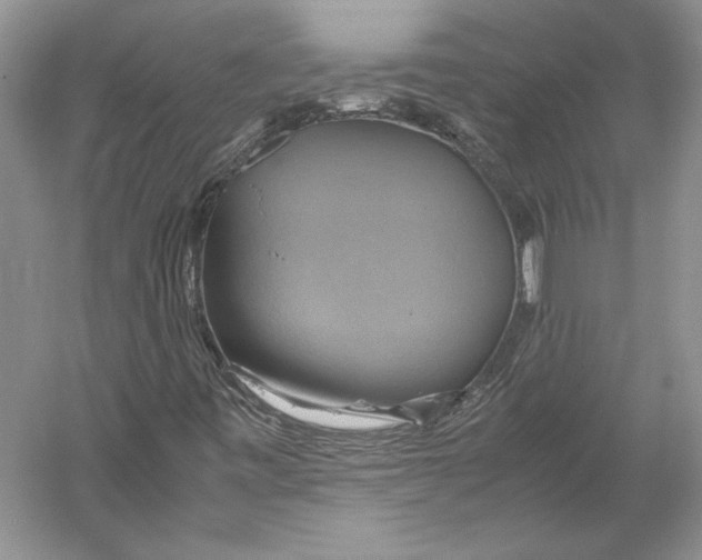 X0000059781443200511181409