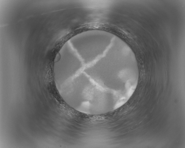 X0000059781446200511181409