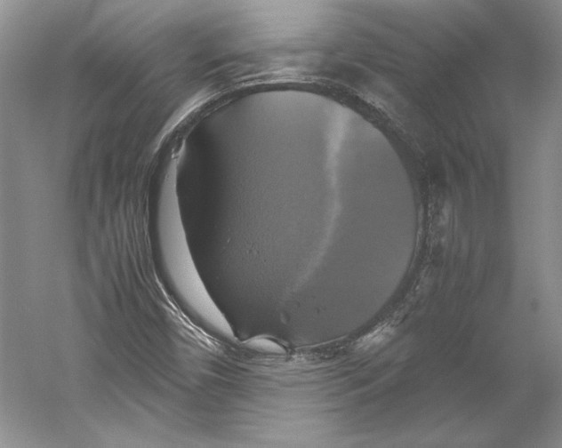 X0000059781450200511181409