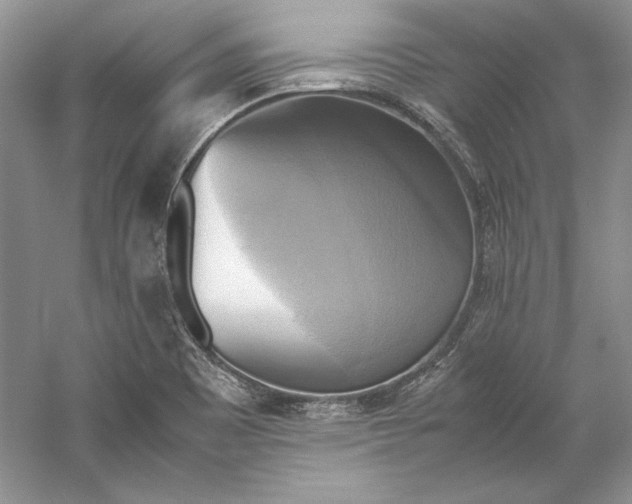 X0000059781465200511181408