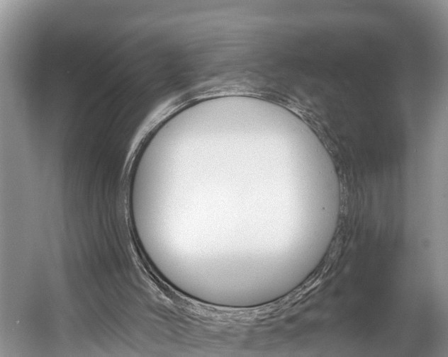 X0000059790004200510210933