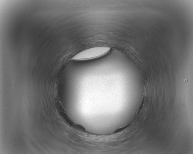 X0000059790043200510210933