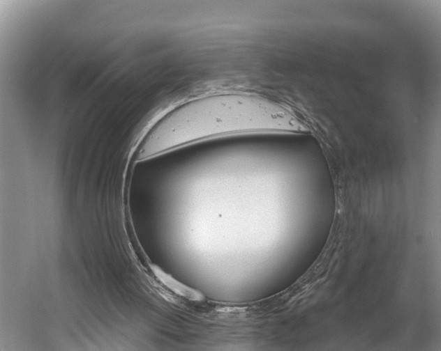 X0000059790052200510210932