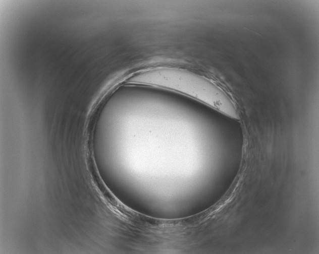 X0000059790101200510210932