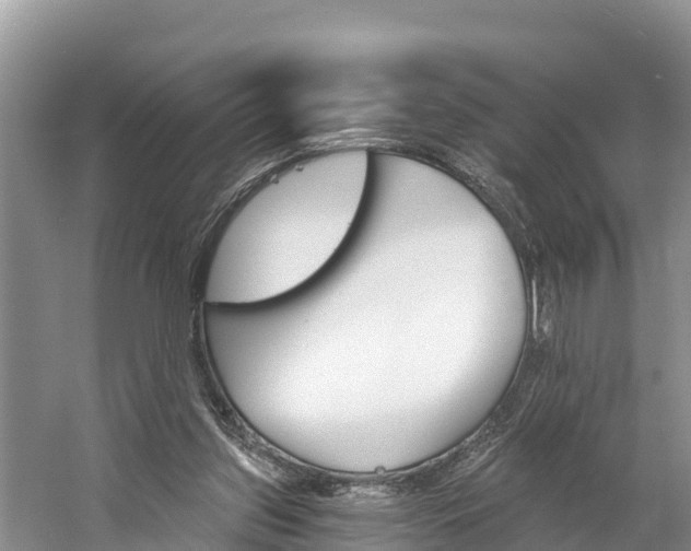 X0000059790157200510210930