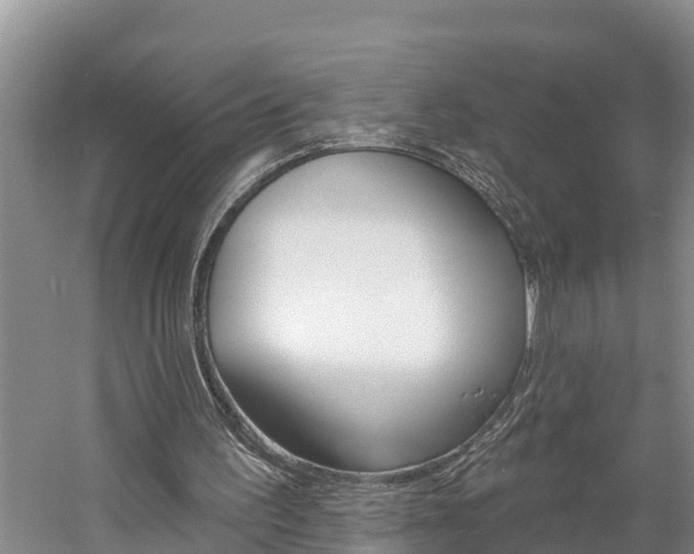 X0000059790195200510210930