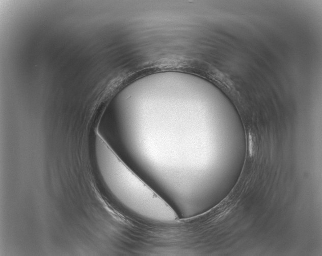 X0000059790205200510210930