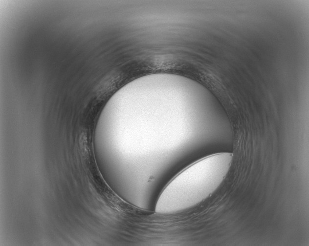 X0000059790220200510210930