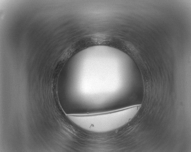 X0000059790221200510210930