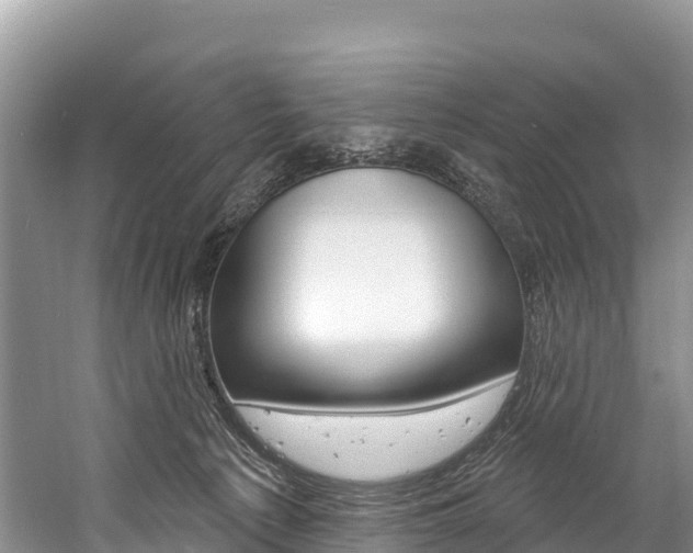 X0000059790225200510210929