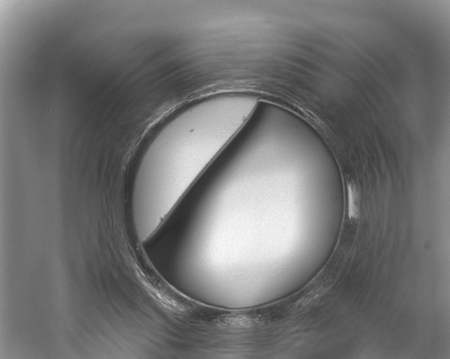 X0000059790253200510210929