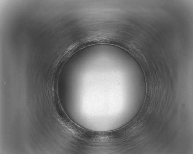 X0000059790260200510210929
