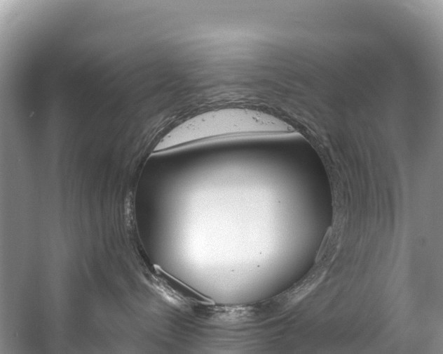 X0000059790288200510210929