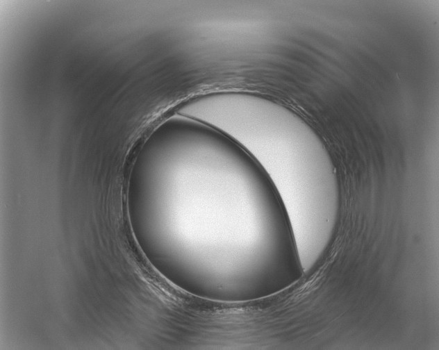 X0000059790301200510210928