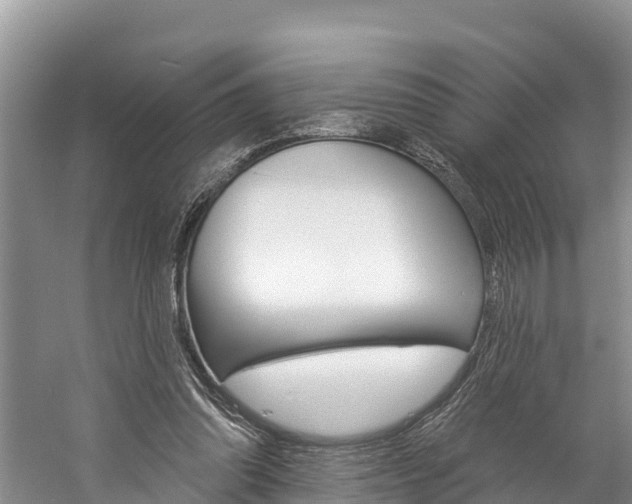 X0000059790302200510210928