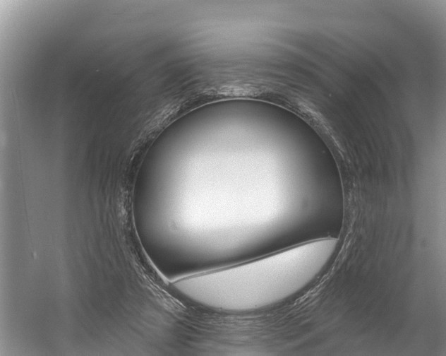 X0000059790305200510210928