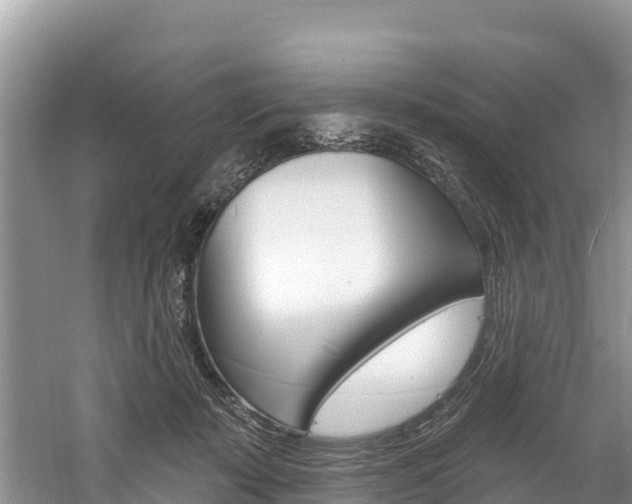 X0000059790319200510210928