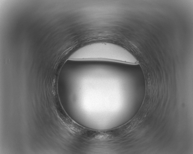 X0000059790364200510210927